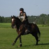 ahta10