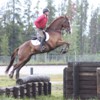 ahta16