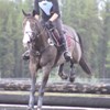 ahta17