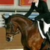 ahta29