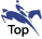 Top of Page